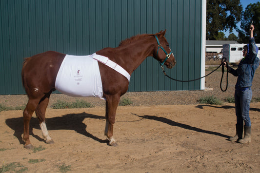 horseRAP® barrelRAP™ Wound Wrap