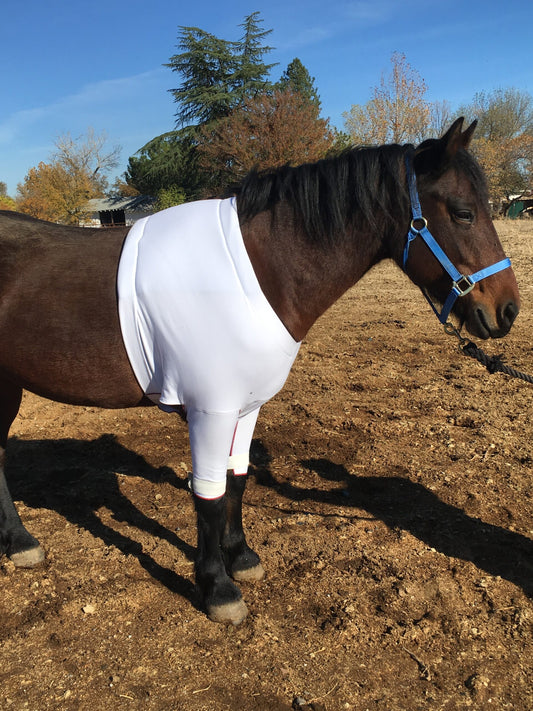 horseRAP® chestRAP™ Wound Wrap