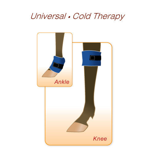 horseRAP® Universal 20" Cold Therapy