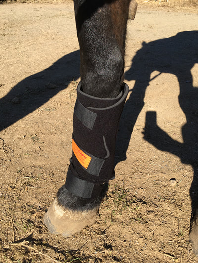 horseRAP® Fore-Leg Cold Therapy