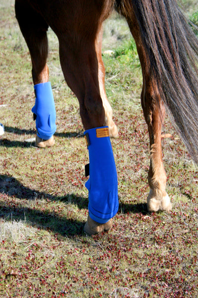 horseRAP® Hind-Leg Cold Therapy