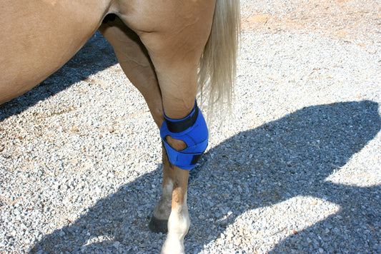 horseRAP® Hock Cold Therapy