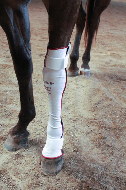 horseRAP® Full-Leg WoundRAP