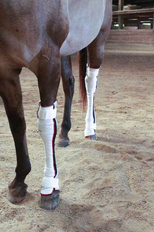 horseRAP® Full-Leg WoundRAP