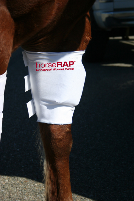 horseRAP® Universal WoundRAP
