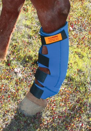 horseRAP® Hind-Leg